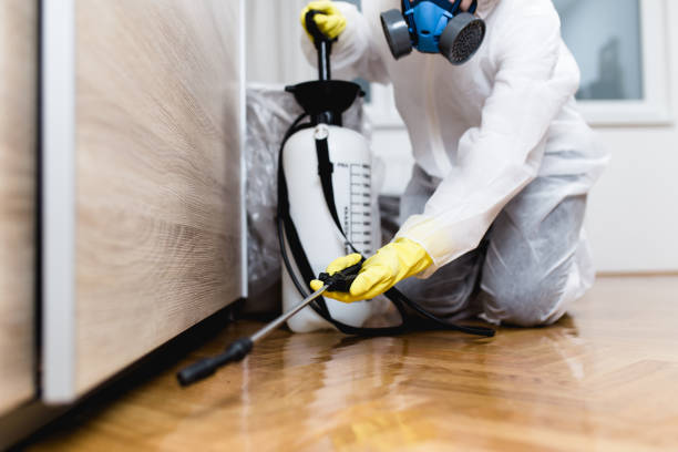 Best Affordable Pest Control Services  in Altamont, OR