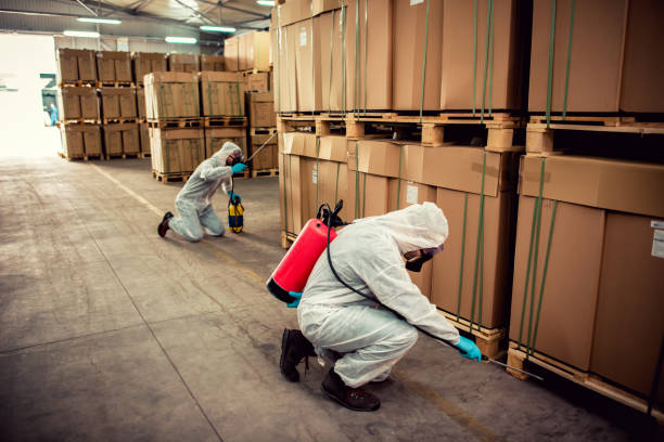 Best Flea Control Services  in Altamont, OR