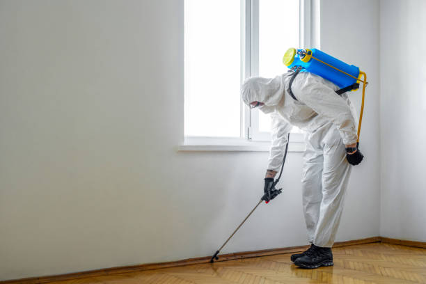 Best Wasp Removal Services  in Altamont, OR