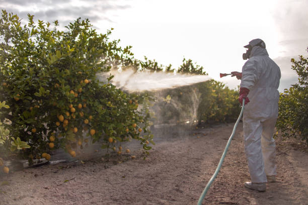 Best Commercial Pest Control Services  in Altamont, OR
