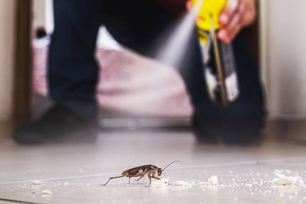 Best Pest Removal Services  in Altamont, OR