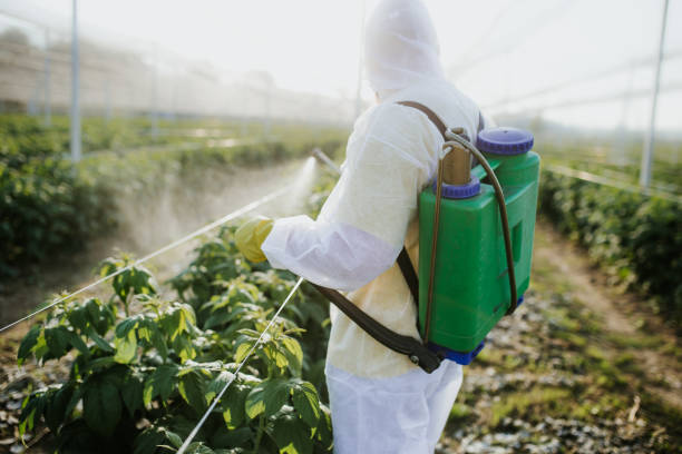 Wildlife Control Services in Altamont, OR